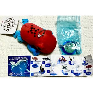 しまね海洋館アクアスカプセルフィギュア・チンアナゴ+てのひらシリーズ・カエル(ぬいぐるみ)