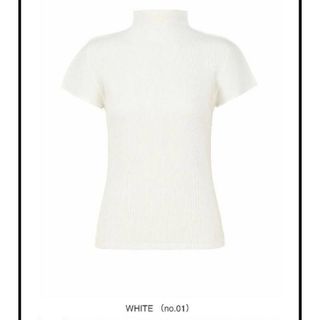 プリーツプリーズイッセイミヤケ(PLEATS PLEASE ISSEY MIYAKE)のPLEATS PLEASE BASIC MIST ホワイト(カットソー(半袖/袖なし))