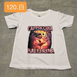 【120】 イタリアンブレインロット　半袖　Tシャツ(Tシャツ/カットソー)