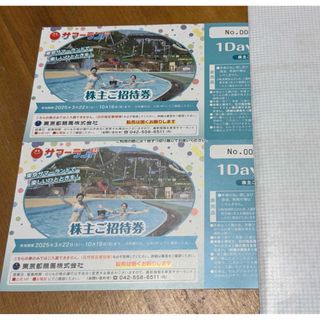 東京都競馬　株主優待　2枚(遊園地/テーマパーク)