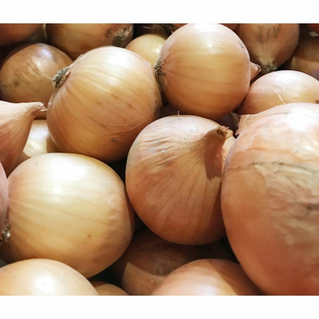 自然栽培 たまねぎ(4kg)★熊本県産★いやしの野菜★無肥料・無農薬の究極の農法 食品/飲料/酒の食品(野菜)の商品写真