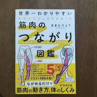 世界一わかりやすい筋肉のつながり図鑑