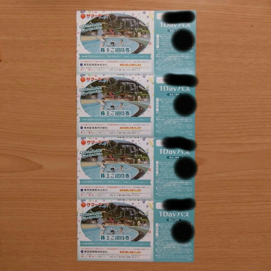 サマーランド 株主優待 その他のその他(その他)の商品写真