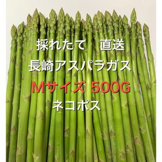 長崎産アスパラガスMサイズ 500グラム(野菜)