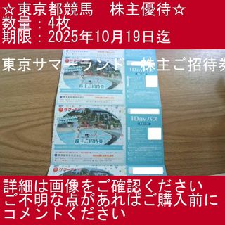 【4枚・東京サマーランド・株主ご招待券】東京都競馬　株主優待券(プール)