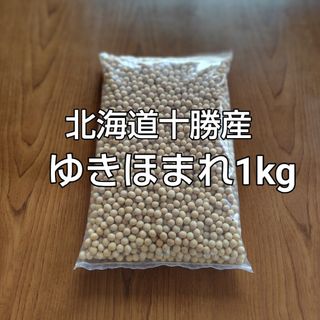 大豆1kg 北海道産 ユキホマレ 豆乳 ソイリッチ(野菜)