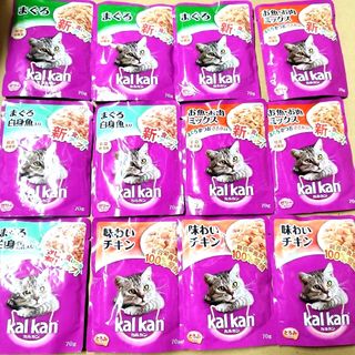 マース(MARS)のカルカン　70g マース　キャットフード　ウエットフード　猫パウチ　Kalkan(猫)