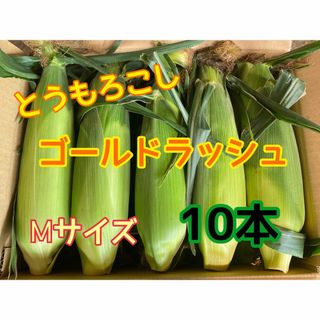 Ꮇサイズ　朝採りとうもろこし10本　ゴールドラッシュ　茨城県産　収穫日即日発送(野菜)