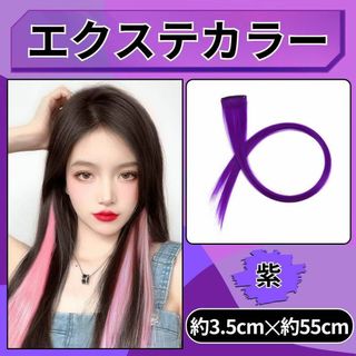 パープル カラーエクステ 2本セット 簡単着用 ワンタッチカラー エクステ 紫