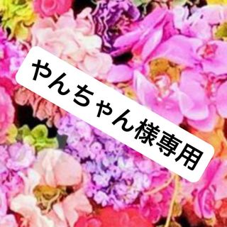 ベネフィーク(BENEFIQUE)のベネフィーク リセットクリア　レフィル　新品　2個(化粧水/ローション)