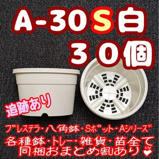 プラ鉢【A-30S】20個 スリット鉢 丸 プレステラ 多肉植物(プランター)