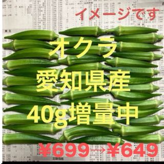 オクラ（愛知県産）340g(野菜)