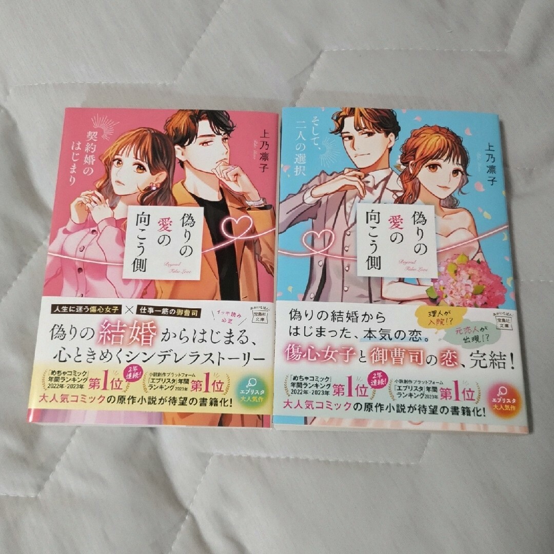 偽りの愛の向こう側　2冊セット エンタメ/ホビーの本(文学/小説)の商品写真