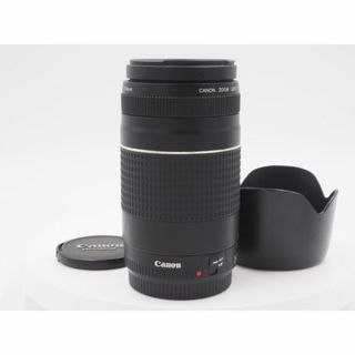 キヤノン(Canon)の■美品■ CANON EF 75-300mm F4-5.6 Ⅲ 番:317(レンズ(ズーム))