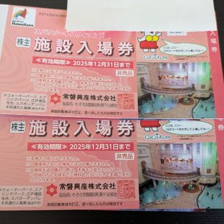 スパリゾートハワイアンズ施設入場券 2枚 2025.12.31まで 匿名配送 ①(プール)