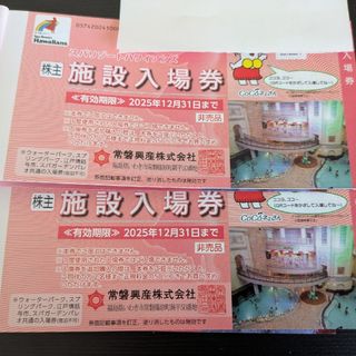 スパリゾートハワイアンズ施設入場券 2枚 2025.12.31まで匿名配送 ③(プール)