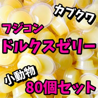 ［フジコン］ドルクスゼリー　ワイドS 16g 【合計80個】 昆虫ゼリー(虫類)