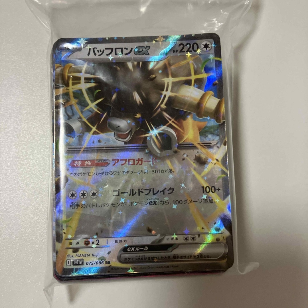 ポケモンカード まとめ売り レア 光り物のみ 100枚セット エンタメ/ホビーのトレーディングカード(シングルカード)の商品写真