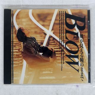 国内盤 BLOW/風が見える瞳のままで/PIONEER LDC HBCL-8030 CD □(ポップス/ロック(邦楽))