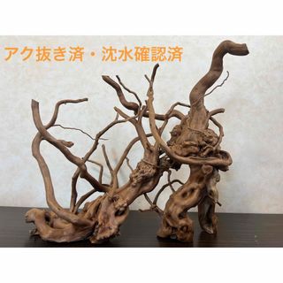 13004 ブランチウッド　流木　アクアリウム　沈水確認済(アクアリウム)