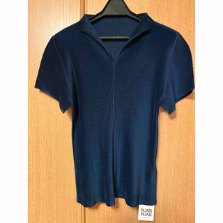 プリーツプリーズイッセイミヤケ(PLEATS PLEASE ISSEY MIYAKE)のプリーツプリーズ　ミスト　エイプリル(カットソー(半袖/袖なし))