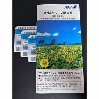 ANA 株主優待 青 3枚(その他)
