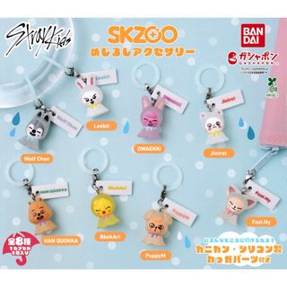 SKZOO めじるしアクセサリー　全8種　コンプリートセット(アイドルグッズ)
