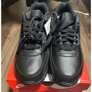 ナイキ(NIKE)のナイキ　エアマックス90LTR(スニーカー)