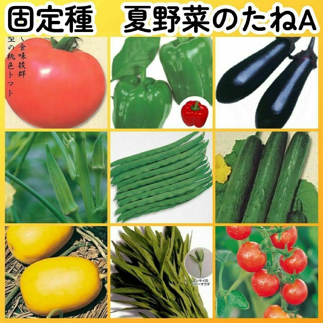固定種夏野菜の種A●ピーマンナスオクラインゲンキュウリマクワウリ空芯菜ミニトマト ハンドメイドのフラワー/ガーデン(その他)の商品写真