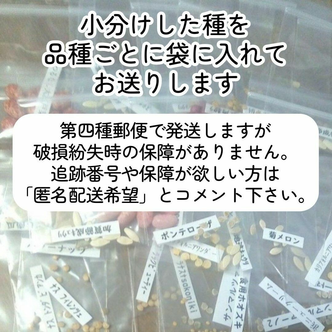 固定種夏野菜の種A●ピーマンナスオクラインゲンキュウリマクワウリ空芯菜ミニトマト ハンドメイドのフラワー/ガーデン(その他)の商品写真