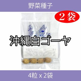 野菜種子 EAL 沖縄白ゴーヤ 4粒 x 2袋(野菜)