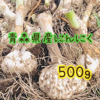 【期間限定】青森県産にんにく　５００g(野菜)