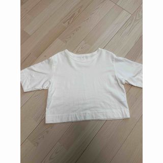 IENA - IENA クロップドTシャツ