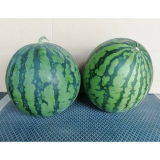 訳アリ　山形県 尾花沢産すいか（祭りばやし）4～5ｋｇｘ2玉入れ(フルーツ)