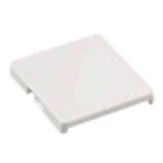 コスモワイドブランクチップ(ダブル用) 10個入 WT30201W-10(その他)