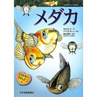 いのちのかんさつ(３) メダカ／中山れいこ【著】，アトリエモレリ【制作】，岩松鷹司【監修】(絵本/児童書)