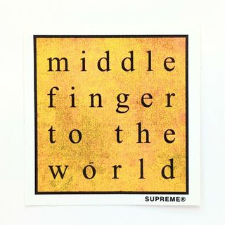 シュプリーム(Supreme)のSUPREME MIDDLE FINGER TO THE WORLD(その他)