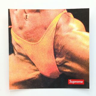 シュプリーム(Supreme)のSUPREME BUTTHOLE SURFERS REMBRANDT(その他)