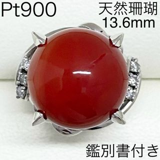 Pt900　天然珊瑚リング　13.6mm　サイズ10.5号　さんご　コーラル(リング(指輪))