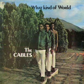 ジャマイカLP Cables What Kind Of World PSOL002 Studio One /00260(その他)
