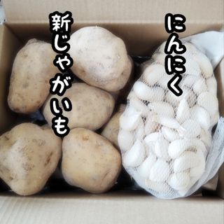 ジャガイモ　にんにくお得セット(野菜)