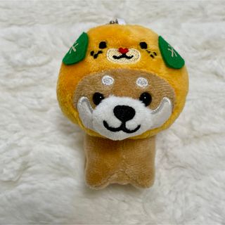 旅するマメしば　みきゃん　愛媛限定　豆しば　ゆるキャラ(ぬいぐるみ)