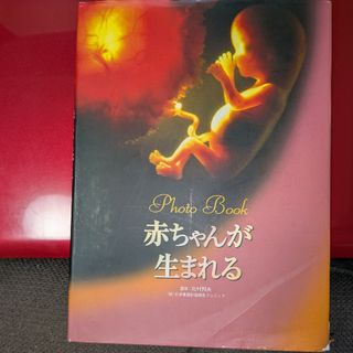 赤ちゃんが生まれる : photo book　絵本/児童書