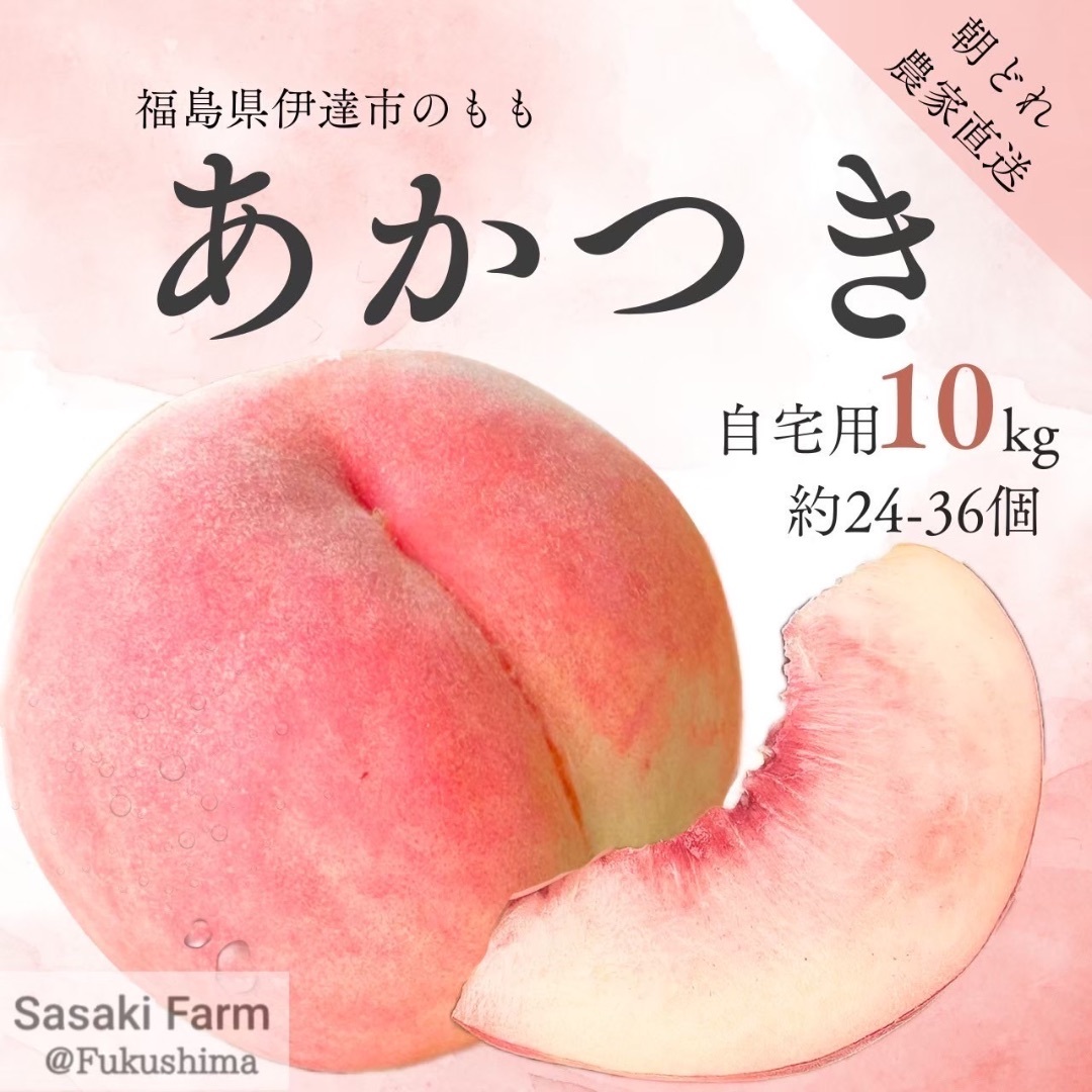 自宅用【あかつき10kg 約24-36個】