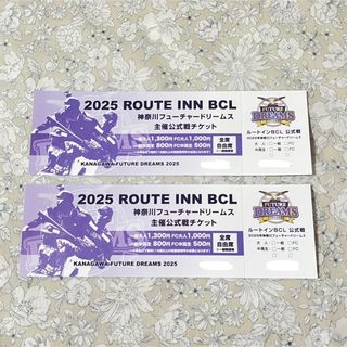 プロ野球(BCリーグ)チケット　2枚(野球)