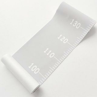 【並行輸入】壁掛け身長計 pk1052(その他)