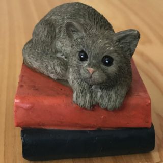 コポー 本の上でくつろぐ ネコ 