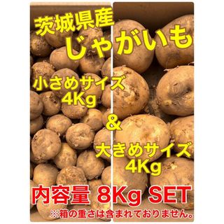 ❣️SALE 10%OFF❣️じゃがいも小粒4Kg＆大きめ4Kg 8Kg SET(野菜)