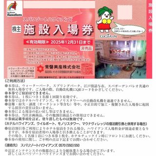 2枚 常磐興産 株主優待券 スパリゾートハワイアンズ　常盤興産 e(プール)