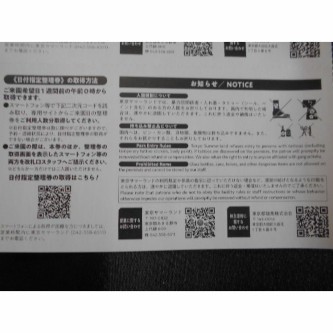 東京サマーランド　1dayパス　株主優待券4枚セット チケットの施設利用券(遊園地/テーマパーク)の商品写真